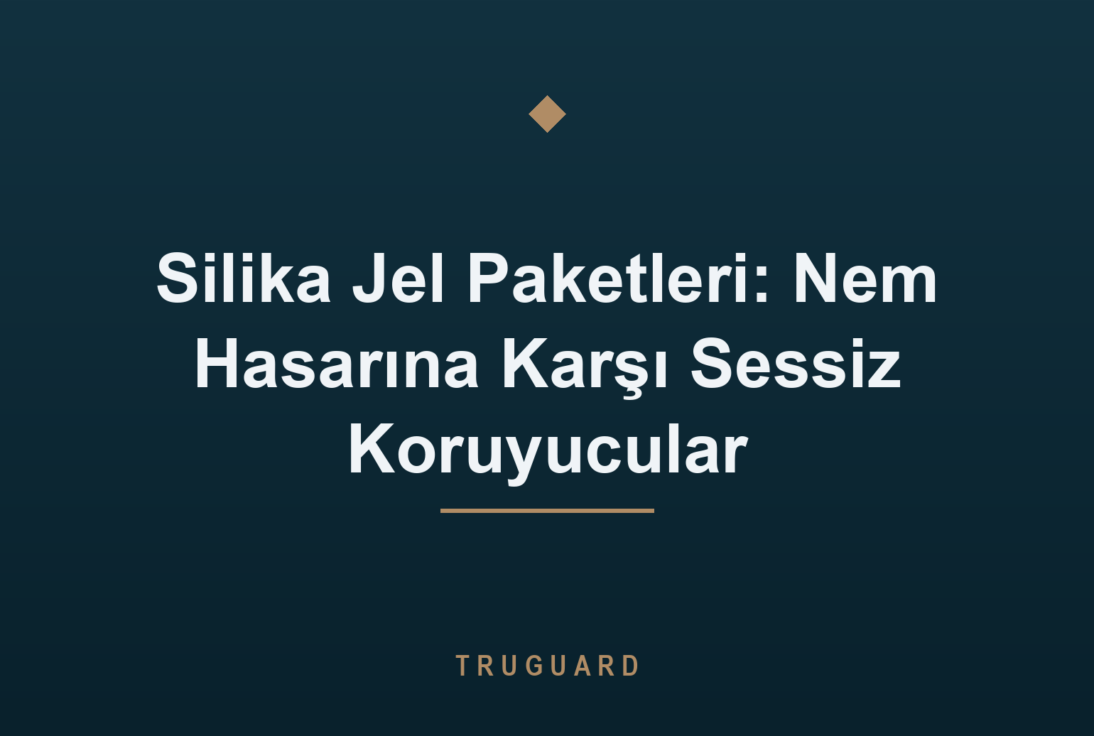 Silika Jel Paketleri: Nem Hasarına Karşı Sessiz Koruyucular