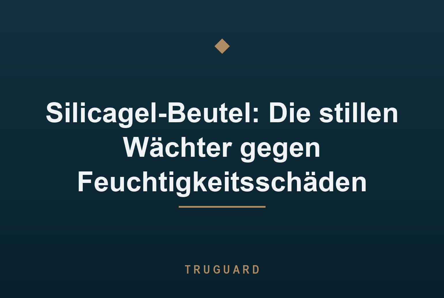 Silicagel-Beutel: Die stillen Wächter gegen Feuchtigkeitsschäden